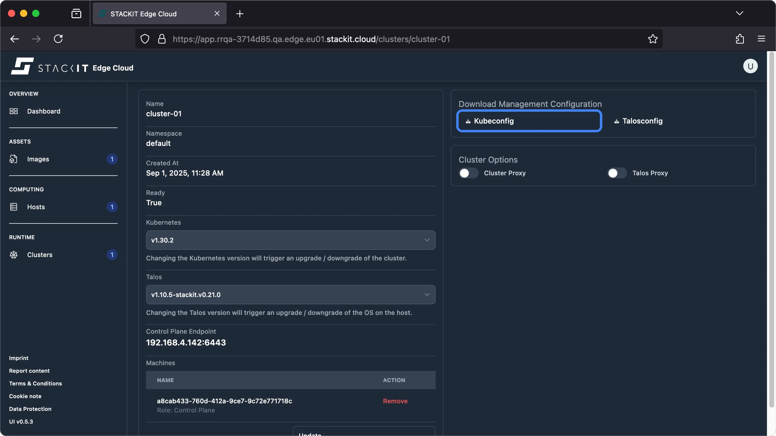 A screenshot of the STACKIT Edge Cloud web interface, displaying the Cluster Details view for a cluster named cluster-01.