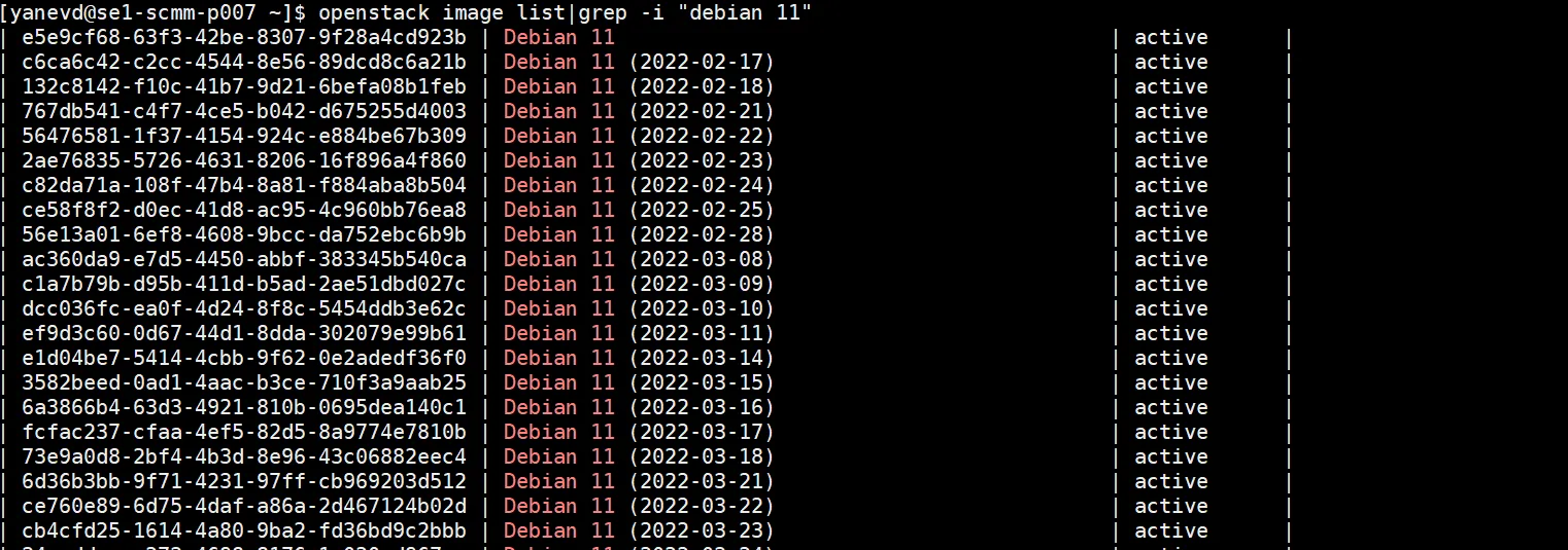Linux-Terminal: Ausgabe des OpenStack-Befehls zur Auflistung von Debian-Images.