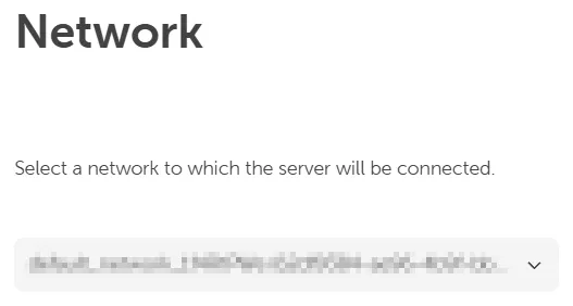 Network configuration section showing the dropdown field for selecting a network for the server.