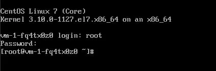 Terminal showing successful root login