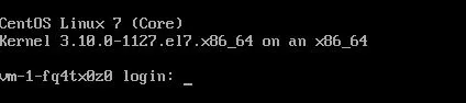 Web console user authentication form requiring initial password change for Windows images.
